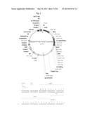 ANTI-AMYLOID BETA ANTIBODIES AND THEIR USE diagram and image