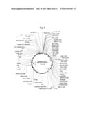 ANTI-AMYLOID BETA ANTIBODIES AND THEIR USE diagram and image