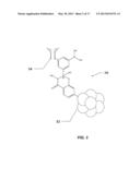 PAXILLIN AS A THERAPEUTIC OR DIAGNOSTIC MARKER FOR CANCER diagram and image