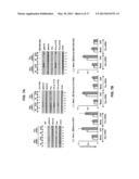 PAXILLIN AS A THERAPEUTIC OR DIAGNOSTIC MARKER FOR CANCER diagram and image