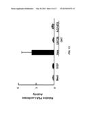 PAXILLIN AS A THERAPEUTIC OR DIAGNOSTIC MARKER FOR CANCER diagram and image