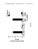 PAXILLIN AS A THERAPEUTIC OR DIAGNOSTIC MARKER FOR CANCER diagram and image