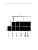 PAXILLIN AS A THERAPEUTIC OR DIAGNOSTIC MARKER FOR CANCER diagram and image