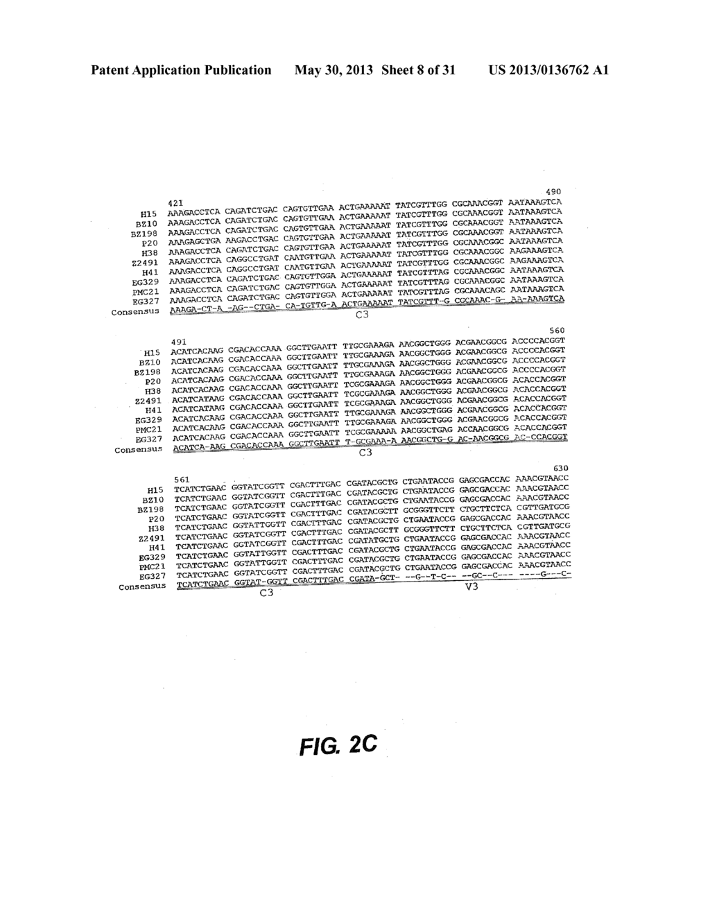 MODIFIED SURFACE ANTIGEN - diagram, schematic, and image 09