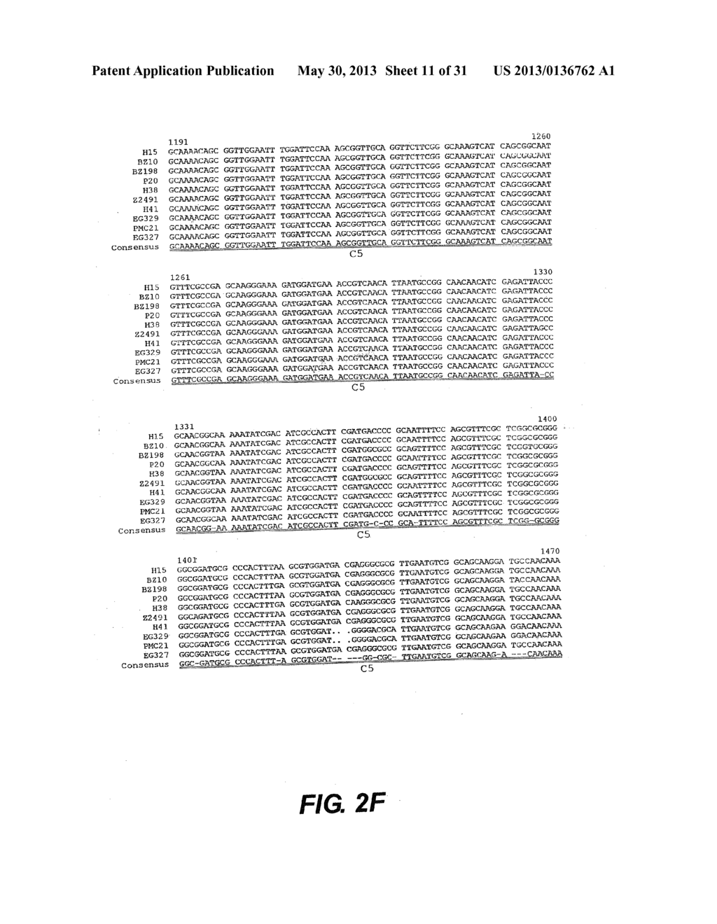 MODIFIED SURFACE ANTIGEN - diagram, schematic, and image 12