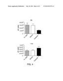 METHODS FOR TREATING RESPIRATORY VIRAL INFECTION diagram and image