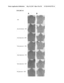 PTEROSTILBENE (PTER) FOR USE IN THE PREVENTION AND/OR TREATMENT OF SKIN     DISEASES, DAMAGES OR INJURIES diagram and image