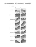 PTEROSTILBENE (PTER) FOR USE IN THE PREVENTION AND/OR TREATMENT OF SKIN     DISEASES, DAMAGES OR INJURIES diagram and image