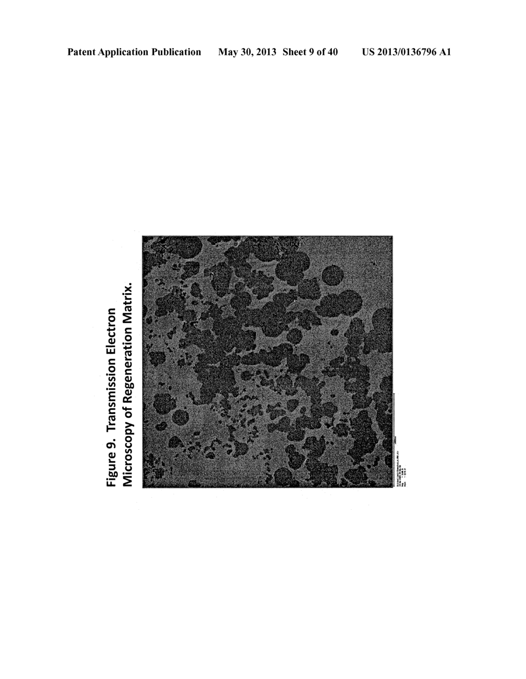 Acellular Bioabsorbable Tissue Regeneration Matrices - diagram, schematic, and image 10