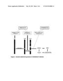 Enteral Or Oral Food Product Intended, In Particular, For nutrition And     For The Prevention And Improvement Of Neurological Alterations,     Neurodegenerative Alterations or Cognitive Disorders diagram and image