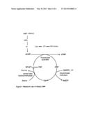 Enteral Or Oral Food Product Intended, In Particular, For nutrition And     For The Prevention And Improvement Of Neurological Alterations,     Neurodegenerative Alterations or Cognitive Disorders diagram and image