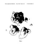 FOOD-GRADE FLOUR FROM DRY FRACTIONATED CORN GERM AND COLLET COMPOSITION     AND METHOD FOR PRODUCING SAME diagram and image