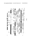 Diagnosis of Hereditary Spastic Paraplegias (HSP) by Identification of a     Mutation in the ZFVYE26 Gene or Protein diagram and image