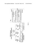 Diagnosis of Hereditary Spastic Paraplegias (HSP) by Identification of a     Mutation in the ZFVYE26 Gene or Protein diagram and image