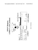 Diagnosis of Hereditary Spastic Paraplegias (HSP) by Identification of a     Mutation in the ZFVYE26 Gene or Protein diagram and image