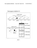 Diagnosis of Hereditary Spastic Paraplegias (HSP) by Identification of a     Mutation in the ZFVYE26 Gene or Protein diagram and image