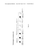 Diagnosis of Hereditary Spastic Paraplegias (HSP) by Identification of a     Mutation in the ZFVYE26 Gene or Protein diagram and image