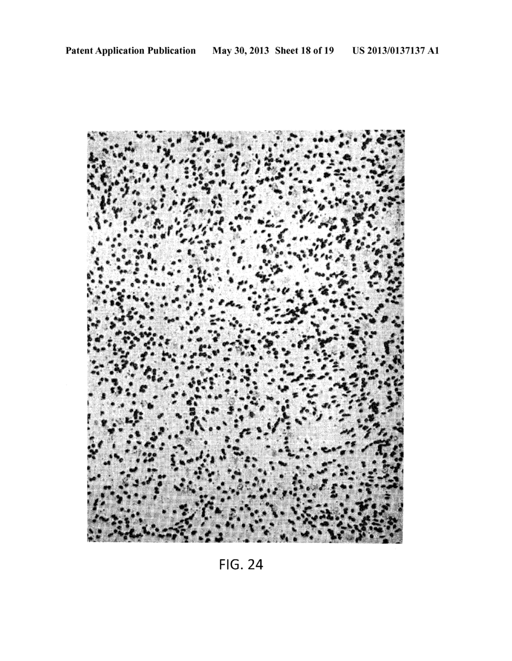 AUTOMATED SYSTEM TO CREATE A CELL SMEAR - diagram, schematic, and image 19