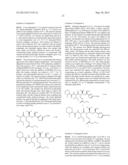 PROCESSES FOR PREPARING TUBULYSINS diagram and image