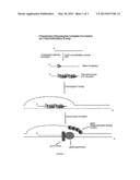 METHODS FOR NUCLEIC ACID MANIPULATION diagram and image