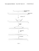 METHODS FOR NUCLEIC ACID MANIPULATION diagram and image