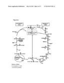 PRODUCTION OF BIODIESEL BY YEAST FROM LIGNOCELLULOSE AND GLYCEROL diagram and image