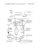 PRODUCTION OF BIODIESEL BY YEAST FROM LIGNOCELLULOSE AND GLYCEROL diagram and image