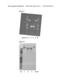 PRODUCTION OF BIODIESEL BY YEAST FROM LIGNOCELLULOSE AND GLYCEROL diagram and image