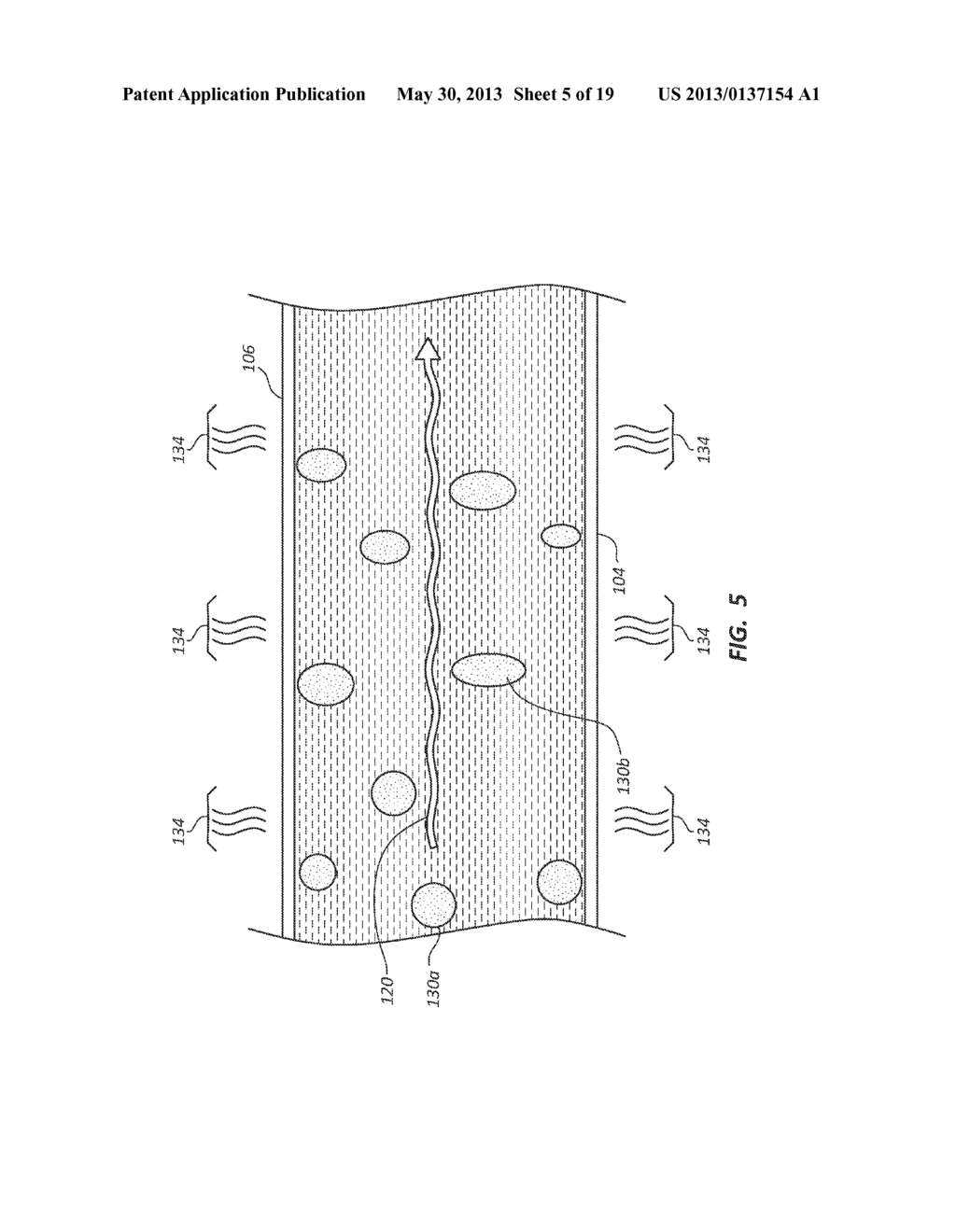 Systems and Methods for Developing Terrestrial and Algal Biomass     Feedstocks and Bio-Refining the Same - diagram, schematic, and image 06