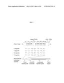 Nucleotide-Specific Recognition Sequences For Designer TAL Effectors diagram and image