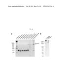 Nucleotide-Specific Recognition Sequences For Designer TAL Effectors diagram and image