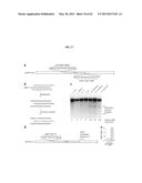 Nucleotide-Specific Recognition Sequences For Designer TAL Effectors diagram and image