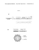 Nucleotide-Specific Recognition Sequences For Designer TAL Effectors diagram and image