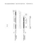 Nucleotide-Specific Recognition Sequences For Designer TAL Effectors diagram and image