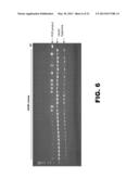 GENOME EDITING USING TARGETING ENDONUCLEASES AND SINGLE-STRANDED NUCLEIC     ACIDS diagram and image