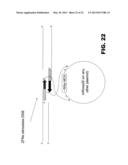 GENOME EDITING USING TARGETING ENDONUCLEASES AND SINGLE-STRANDED NUCLEIC     ACIDS diagram and image