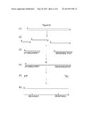 COMBINATORIAL SEQUENCE BARCODES FOR HIGH THROUGHPUT SCREENING diagram and image