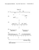 COMBINATORIAL SEQUENCE BARCODES FOR HIGH THROUGHPUT SCREENING diagram and image