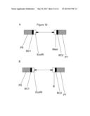 COMBINATORIAL SEQUENCE BARCODES FOR HIGH THROUGHPUT SCREENING diagram and image