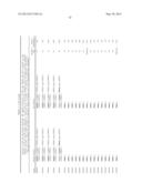 ANALYSIS OF Y-CHROMOSOME STR MARKERS diagram and image