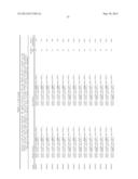 ANALYSIS OF Y-CHROMOSOME STR MARKERS diagram and image