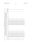 ANALYSIS OF Y-CHROMOSOME STR MARKERS diagram and image