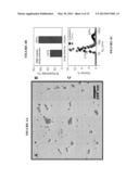 ARBITRARY ASSEMBLY OF NANO-OBJECTS INTO DESIGNED 1D AND 2D ARRAYS diagram and image