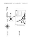 ARBITRARY ASSEMBLY OF NANO-OBJECTS INTO DESIGNED 1D AND 2D ARRAYS diagram and image