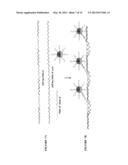 ARBITRARY ASSEMBLY OF NANO-OBJECTS INTO DESIGNED 1D AND 2D ARRAYS diagram and image