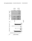 Antiviral Compounds and Uses Thereof diagram and image