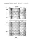 Antiviral Compounds and Uses Thereof diagram and image