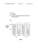 PHARMACEUTICAL COMPOSITIONS COMPRISING     7-(1H-IMIDAZOL-4-YLMETHYL)-5,6,7,8-TETRAHYDRO-QUINOLINE FOR RETINAL     NEUROPROTECTION diagram and image