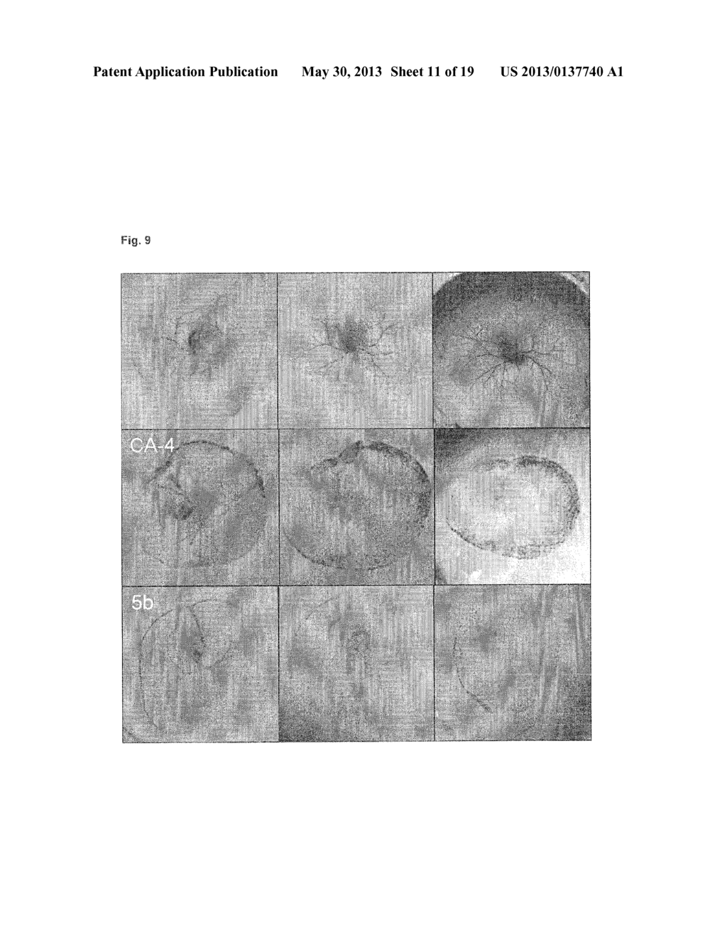 COMBRETASTATIN ANALOGS FOR USE IN THE TREATMENT OF CANCER - diagram, schematic, and image 12