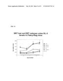 AMORPHOUS AND A CRYSTALLINE FORM OF GENZ 112638 HEMITARTRATE AS INHIBITOR     OF GLUCOSYLCERAMIDE SYNTHASE diagram and image